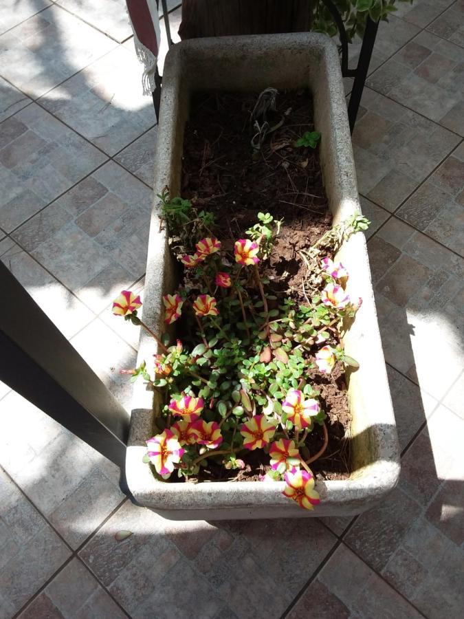 Villetta Il Pino Sant Isidoro  Bagian luar foto